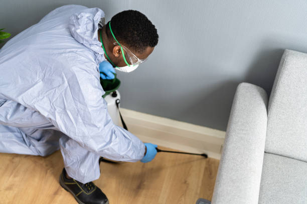 Best Fumigation Services  in Erwin, TN